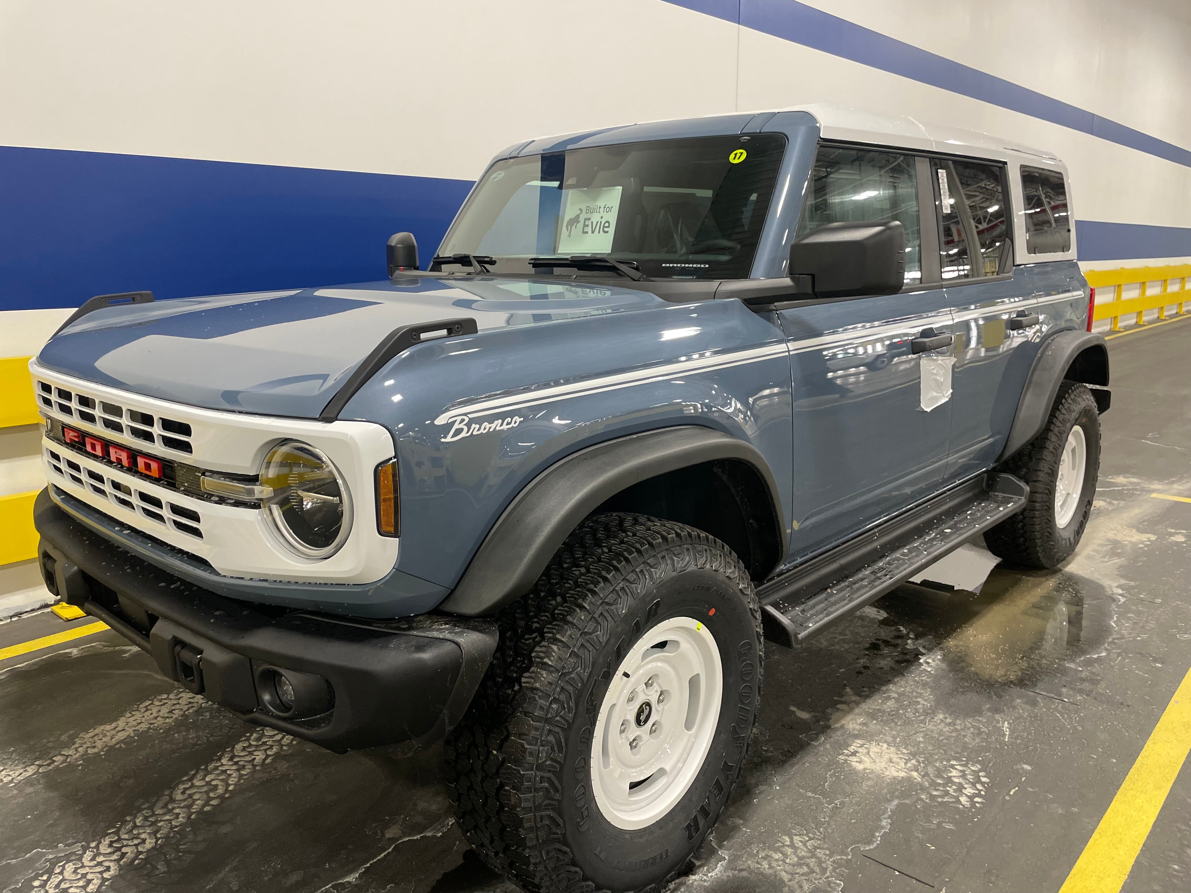 Evie's finished Bronco, Bluey.